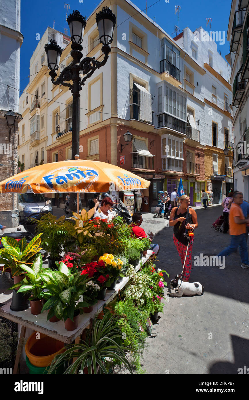The street of Cádiz city center Stock Photo Alamy