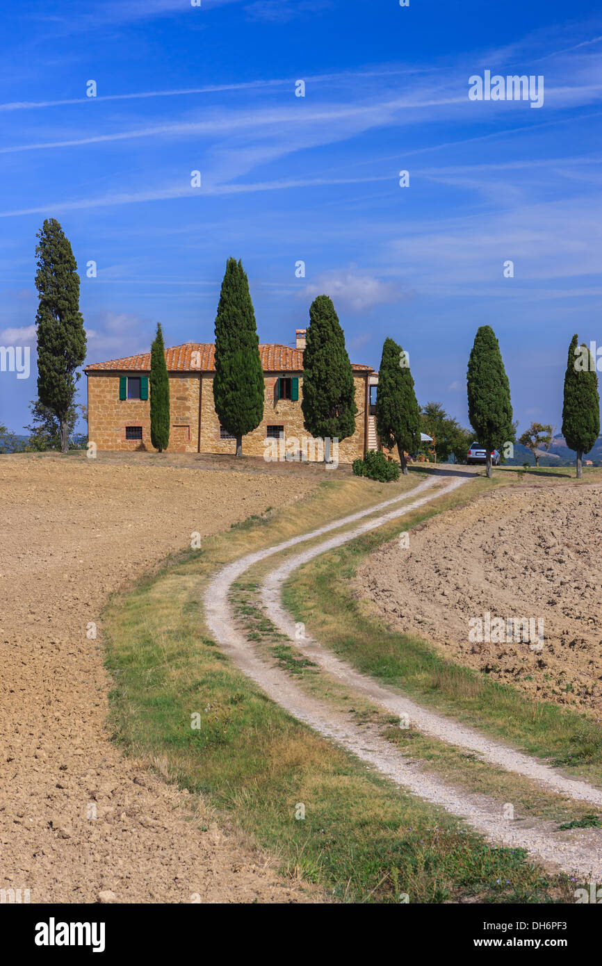 House with the famous Cypress trees in the heart of the Tuscany, near ...