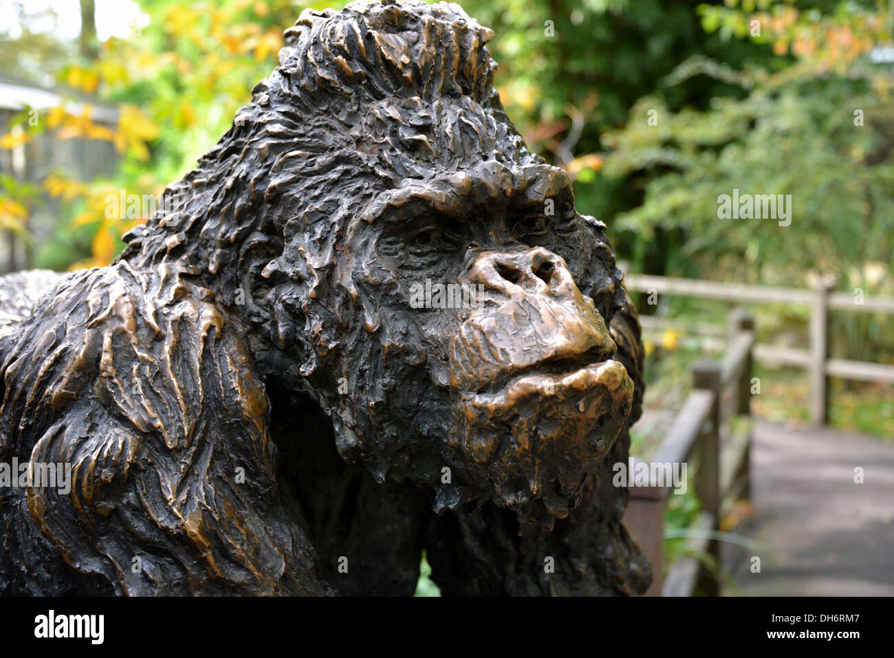 Sculpture of a gorilla Stock Photo Alamy