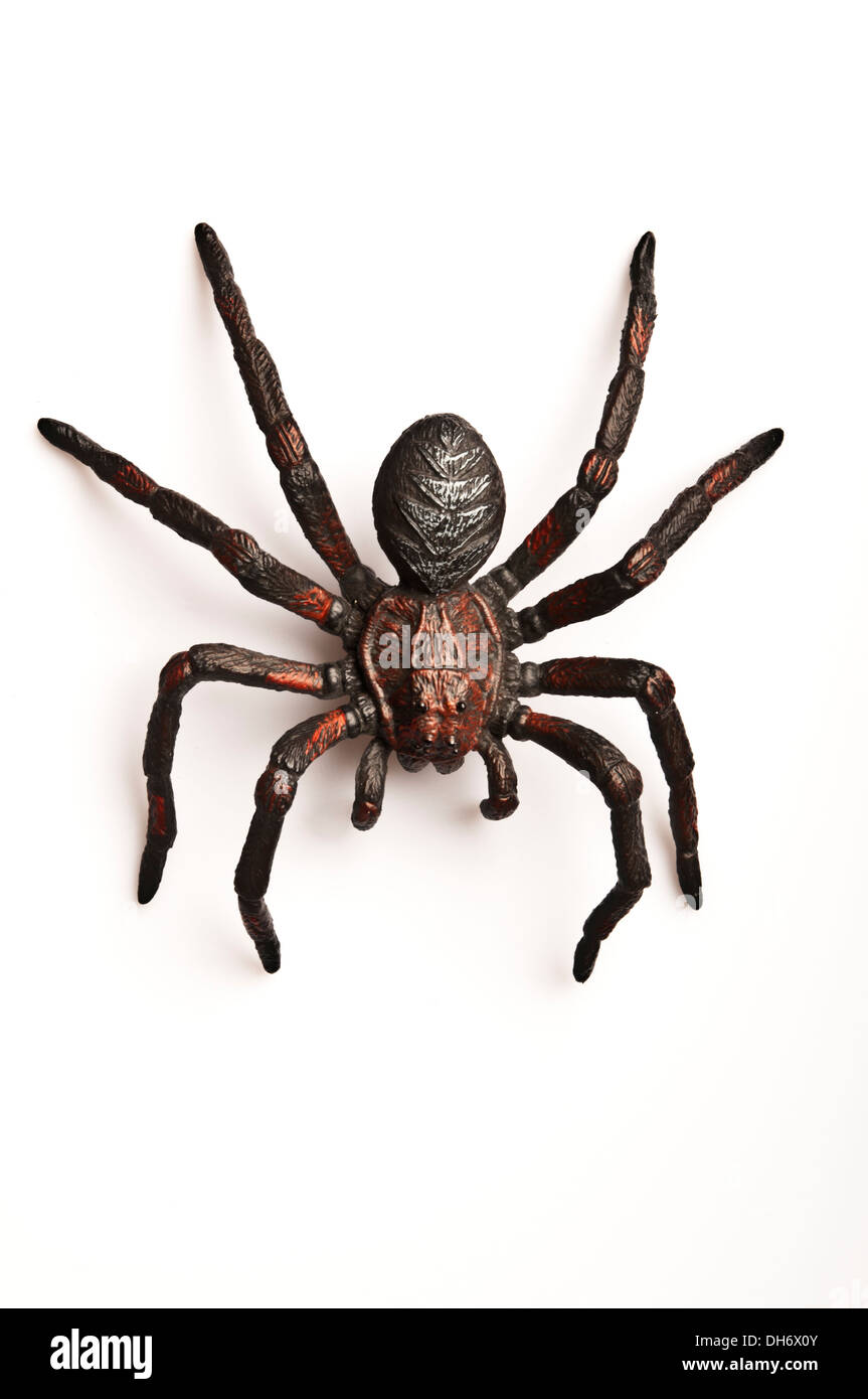 rubber spider toy for Halloween tricks Stock Photo