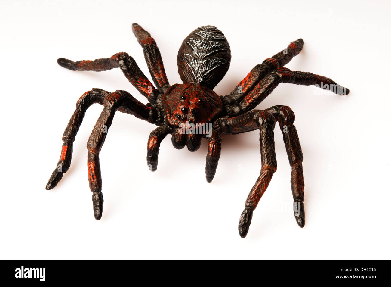 rubber spider toy for Halloween tricks Stock Photo