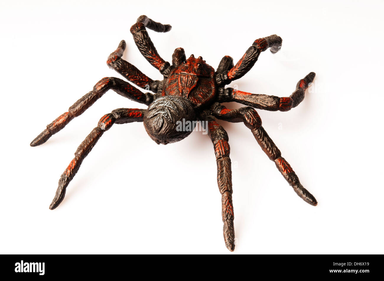 rubber spider toy for Halloween tricks Stock Photo