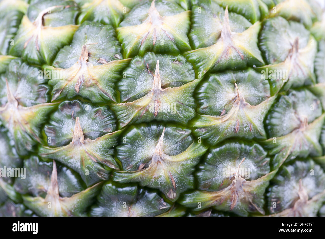 Closeup green pineapple fruit skin Stock Photo Alamy
