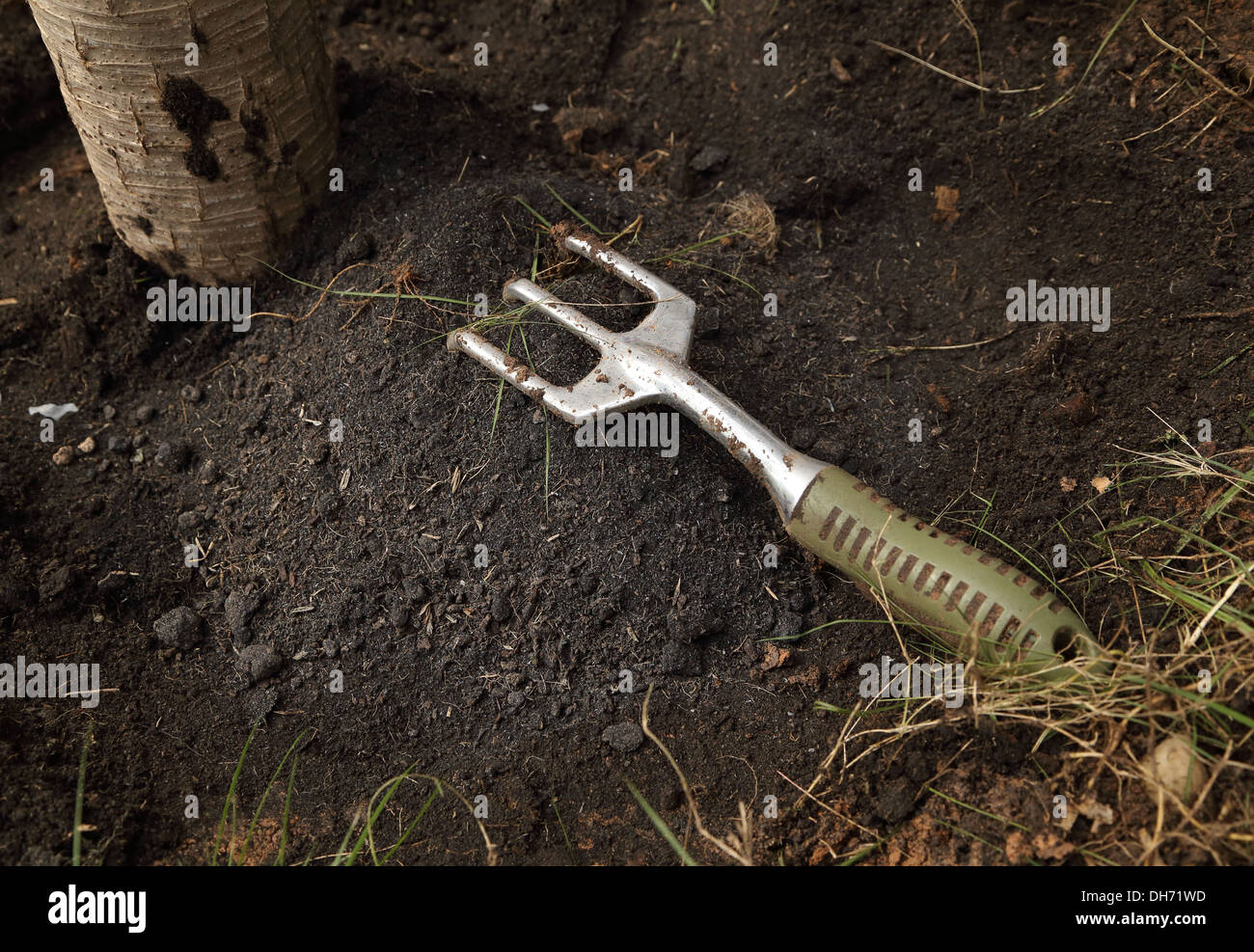 small gardening fork on the soil Stock Photo