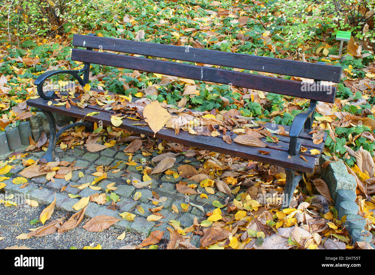 Lonely park bench in fallen autumn leaves Stock Photo - Alamy