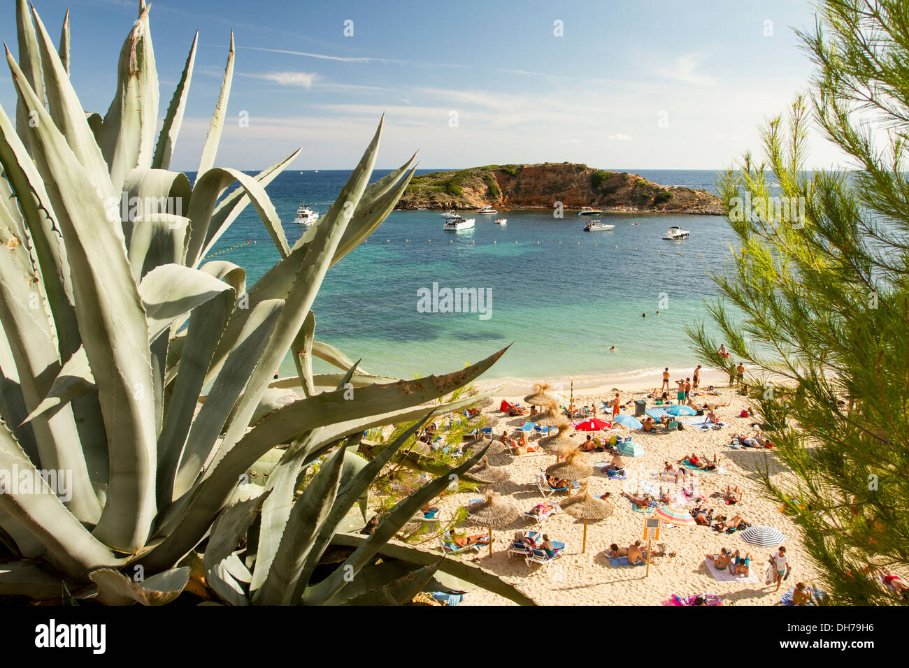 Portals Nous beach, Majorca, Balearic Islands, Spain. Stock Photo
