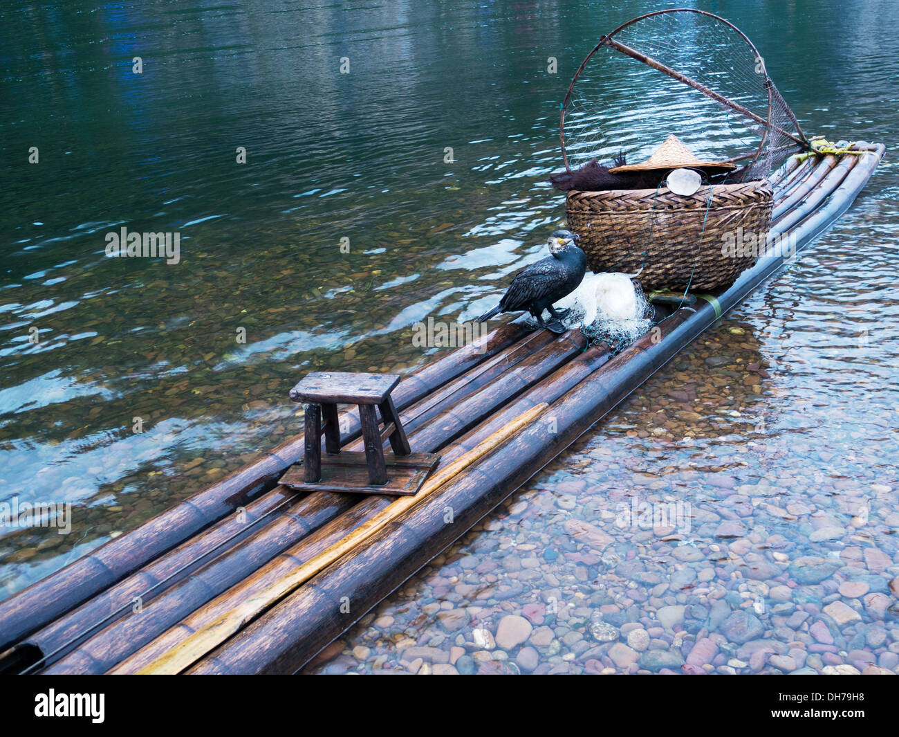 Cormorant standing on a bamboo raft on the river Stock Photo - Alamy