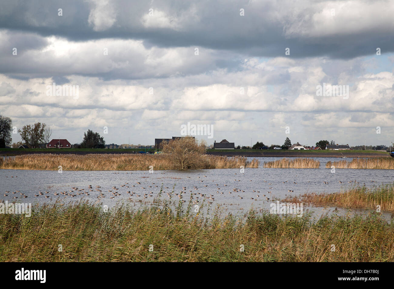 River foreland hi-res stock photography and images - Alamy