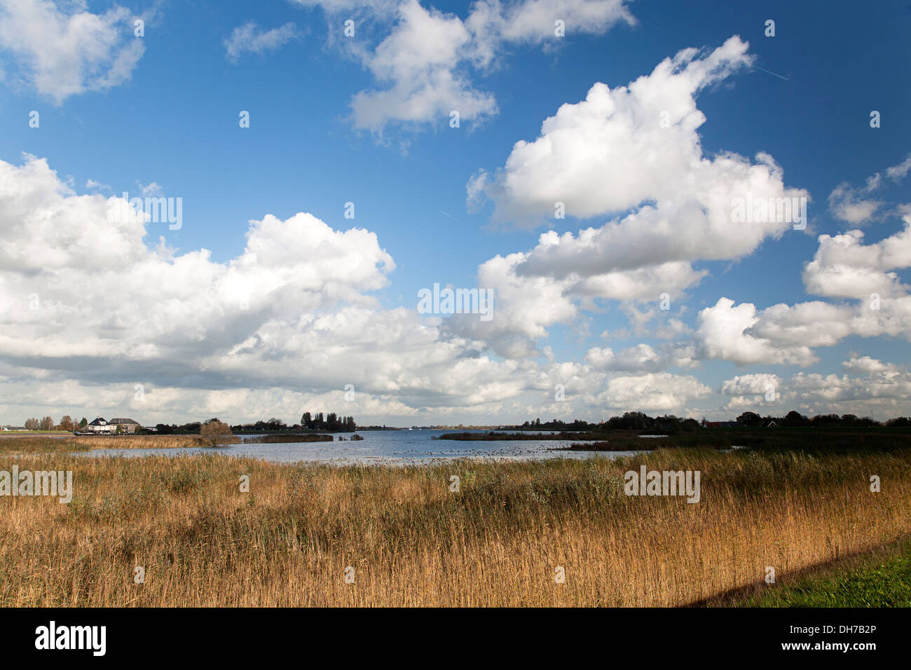 River foreland hi-res stock photography and images - Alamy