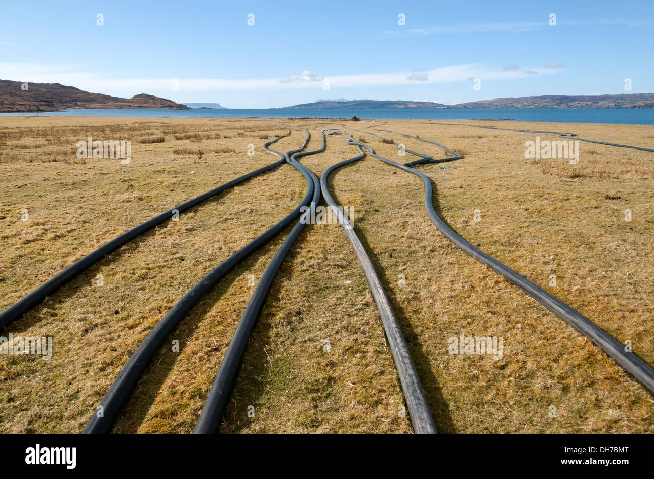 Plastic or rubber pipes laid out on a field at Inverguseran.  Knoydart, Highland region, Scotland, UK.  Purpose unknown. Stock Photo