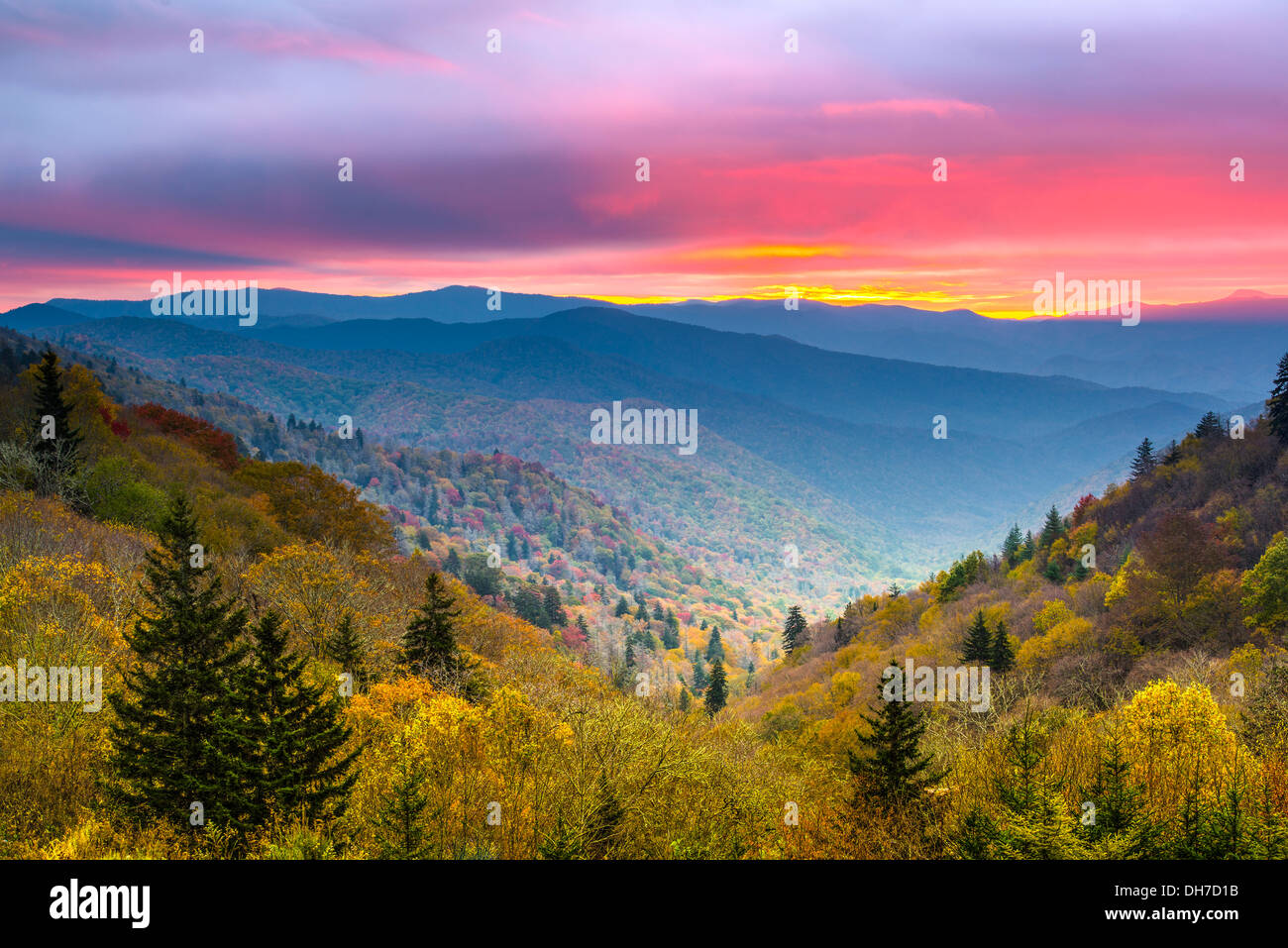 Autumn morning in the Smoky Mountains National Park. Stock Photo