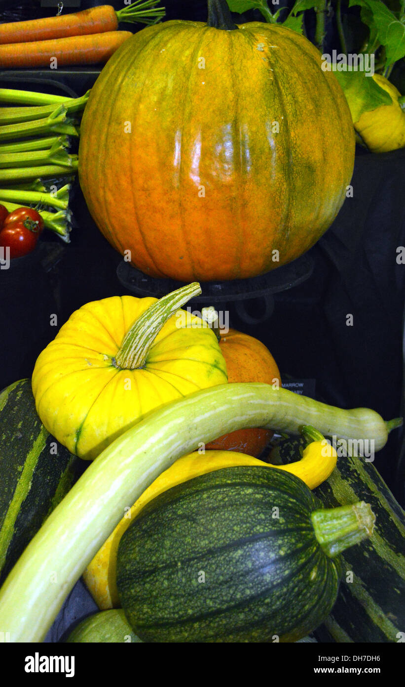 A Display of Marrows & Squashes at the Harrogate Autumn Flower Show Yorkshire Stock Photo