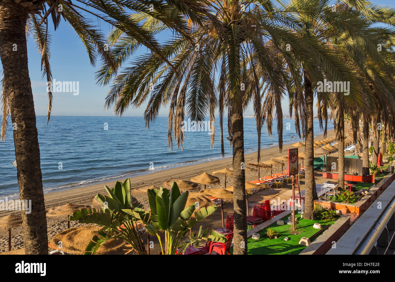 MARBELLA BEACH WITH SUNSHADES AND A LINE OF  PALM TREES NEAR TO THE SEA ANDALUCIA SPAIN Stock Photo