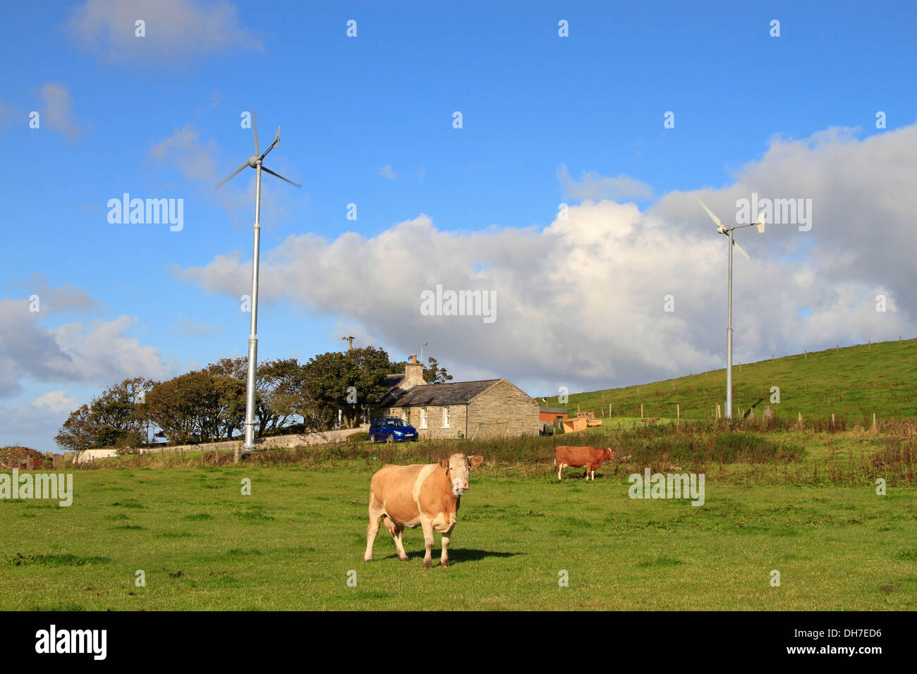 Rural cottage with wind turbine, Orkney isles Stock Photo
