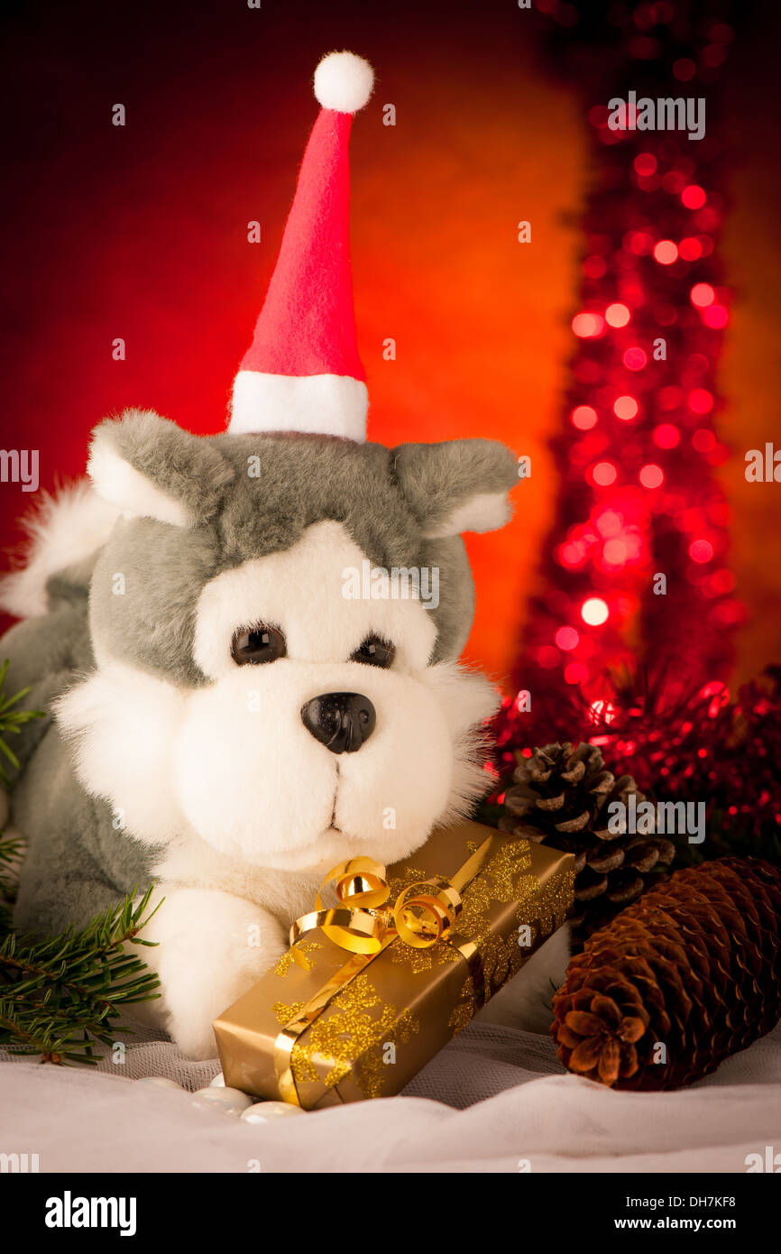 Plush bear in golden present box christmas ornaments with lights in background and red ball Stock Photo