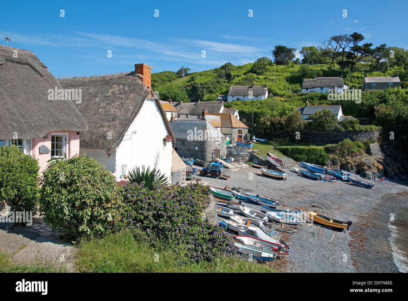 cadgwith cove in cornwall, uk Stock Photo Alamy