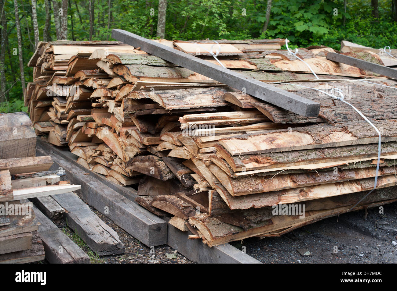 Tree Trunks cut into Timber Wood planks saw mill Stock Photo