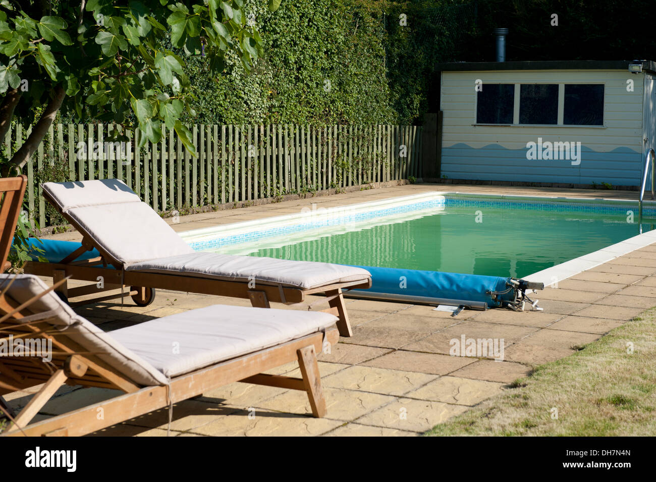 Swimming pool in garden sun loungers Stock Photo