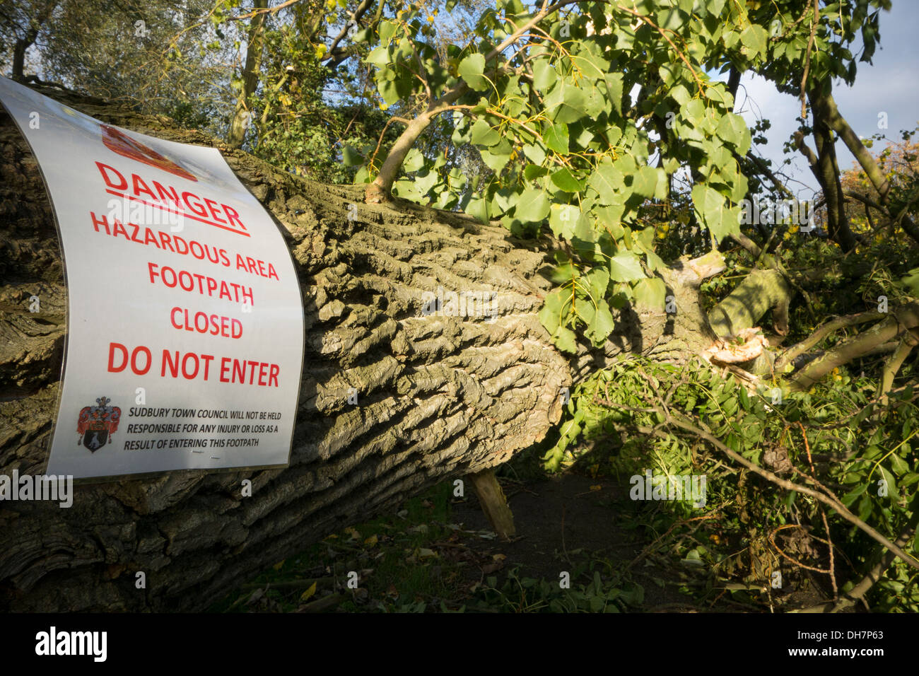 Hazard: A sign warning of hazardous footpath with a fallen tree across it after the St Jude's Day storm in England, 2013. Stock Photo