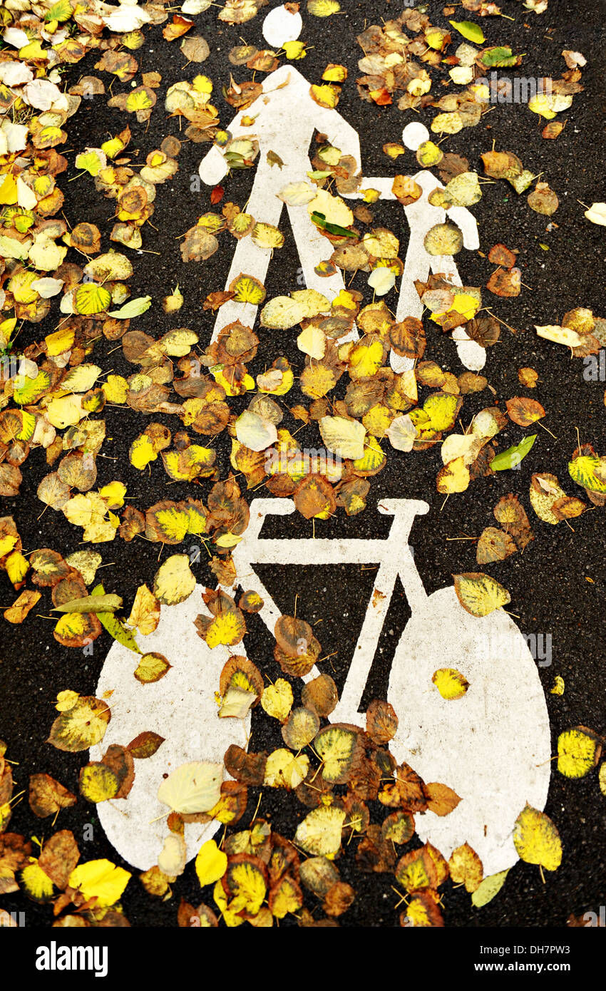 Bicycle and pedestrian lane covered with fallen leaves Stock Photo