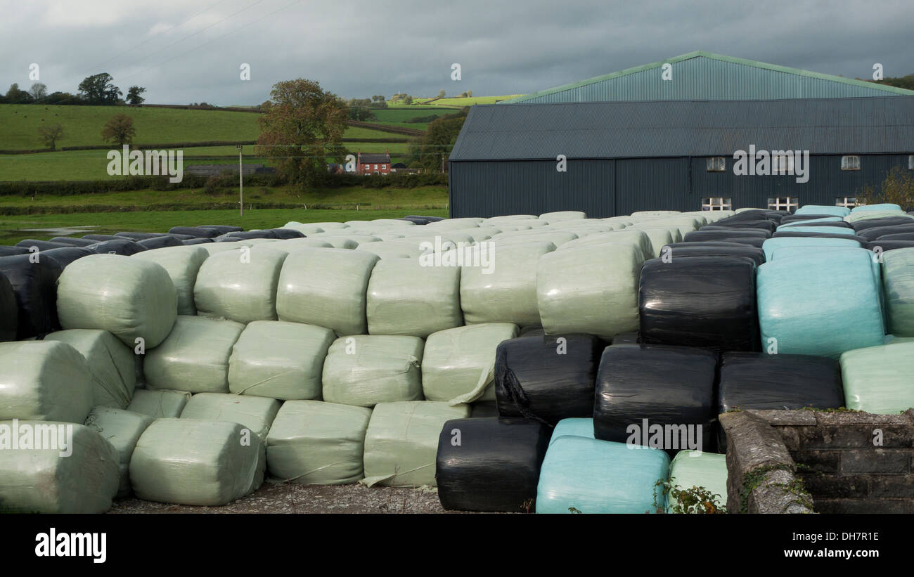 Silage bags on a farm in Carmarthenshire Wales UK KATHY DEWITT Stock Photo Alamy