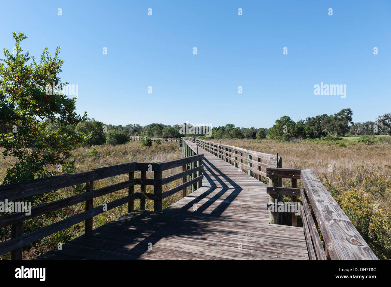 Twin Lakes Park Boardwalk Leesburg, Florida USA Stock Photo - Alamy