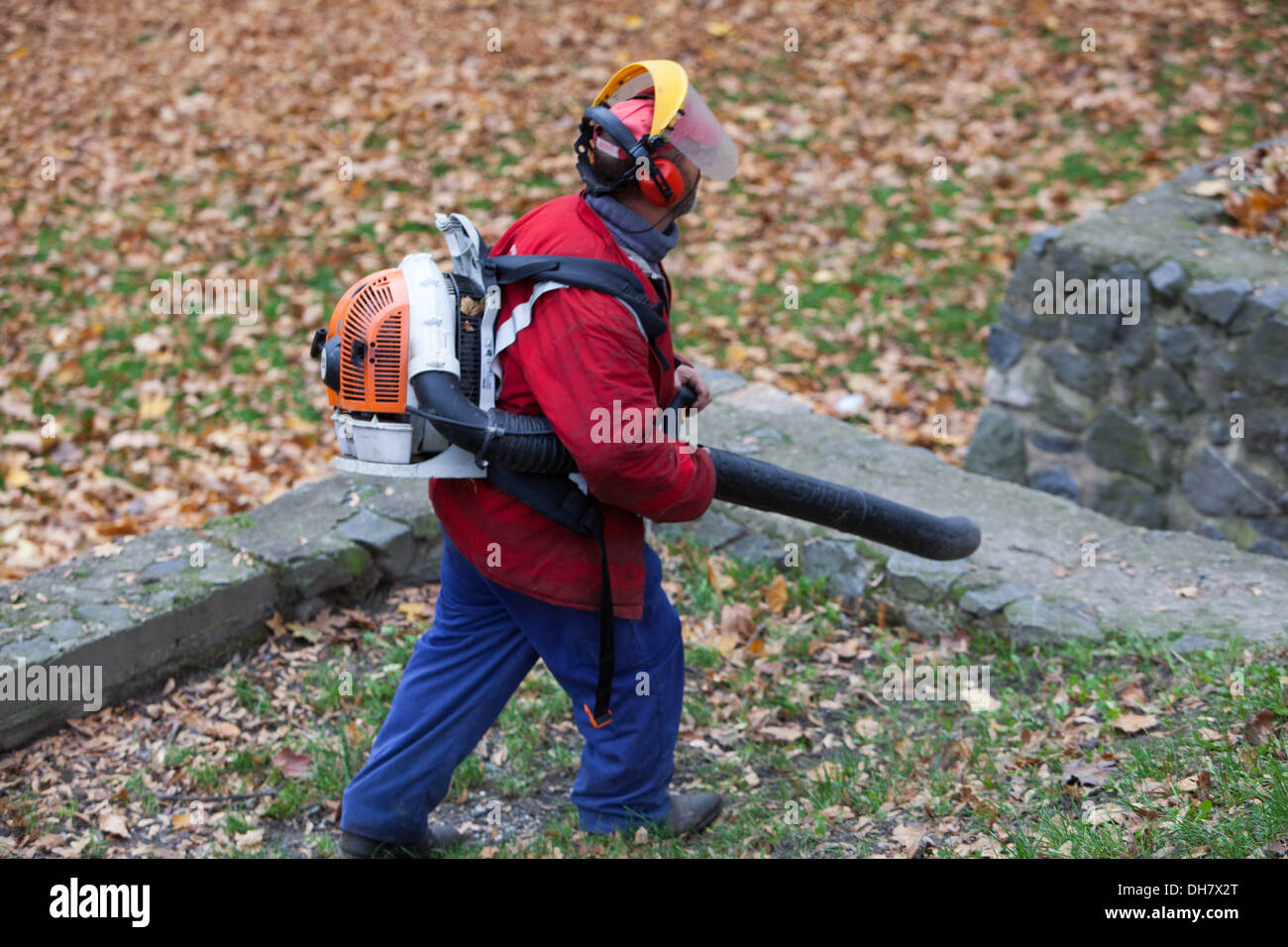 Cleaning of fallen leaves in the park with leaf blower, Czech Republic Stock Photo