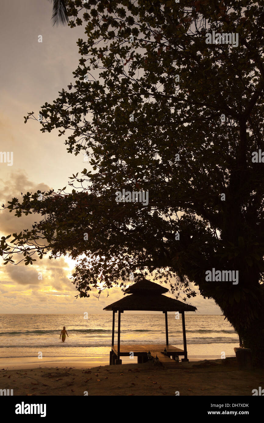Beach sunset, beach hut, lone female swimmer walks ashore, tree silhouette Pangkor, Malaysia Stock Photo