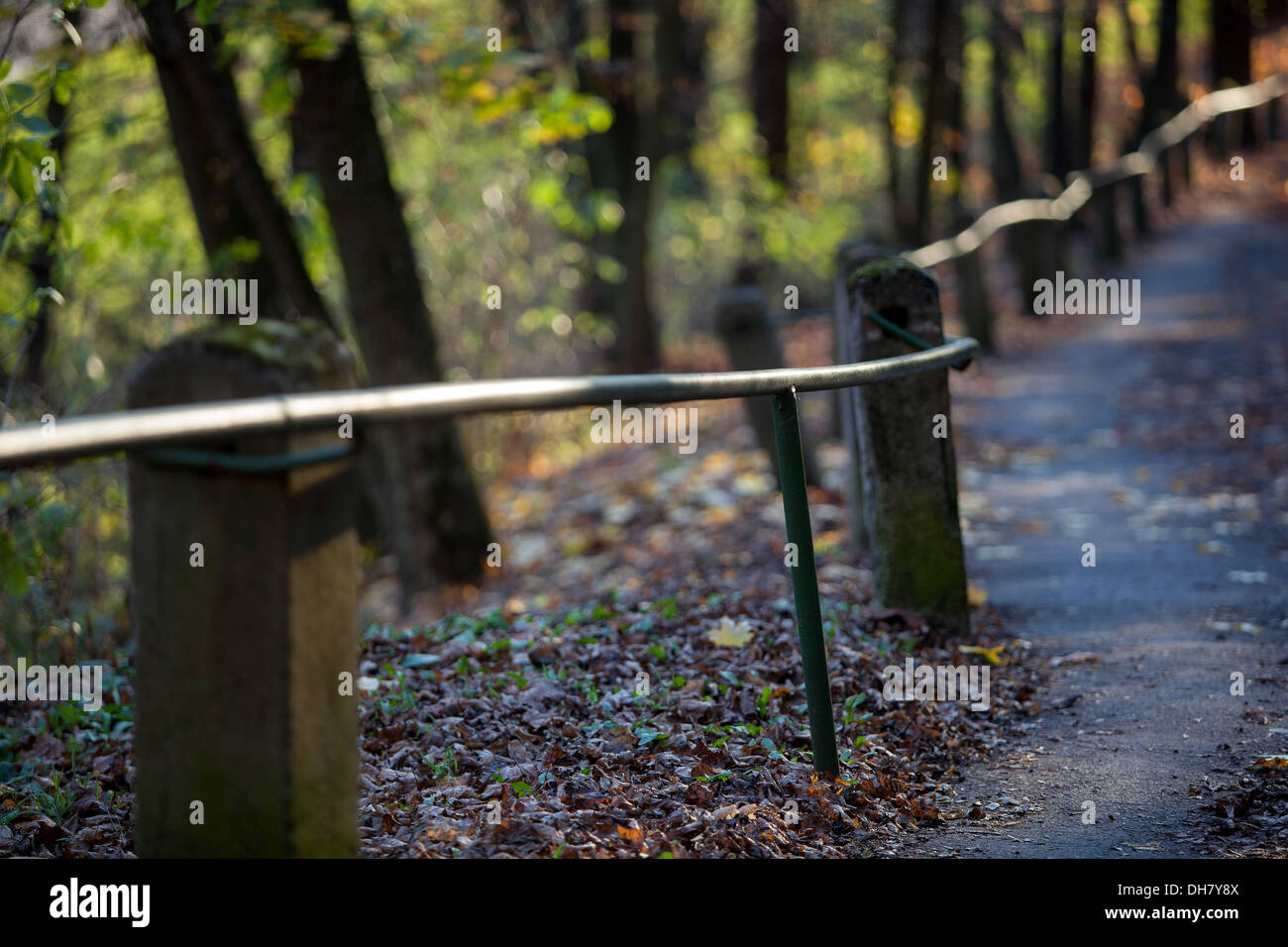 Autumn path through the woods along the railing Stock Photo