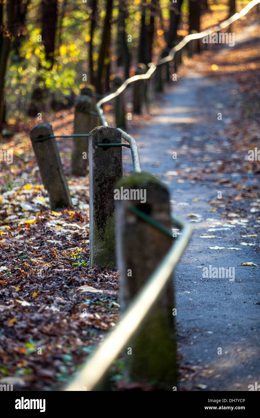 Autumn path through the woods along the railing Autumn path, Autumnal Pathway Stock Photo