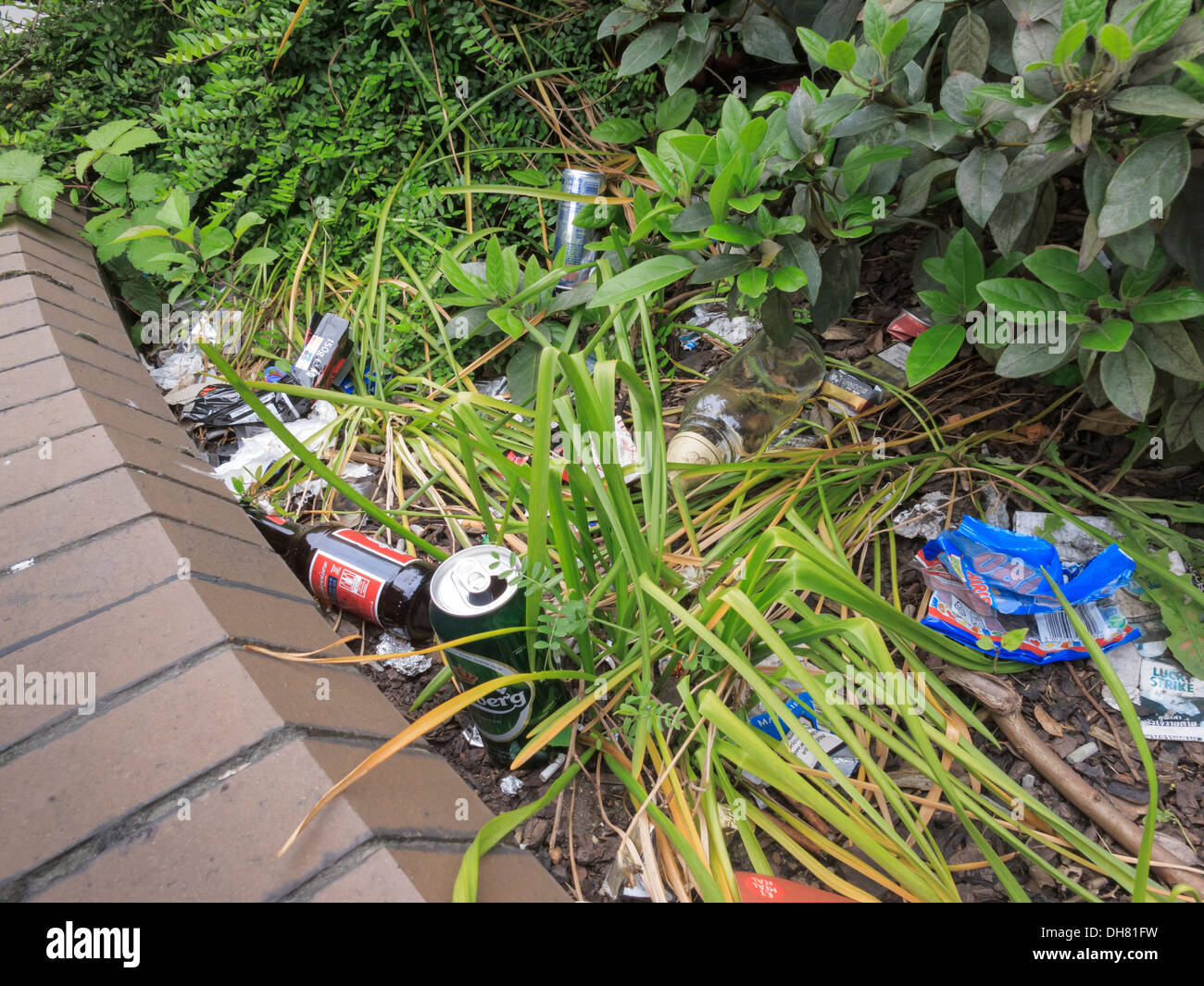 Litter Difference Between Rubbish at Rita Schuman blog