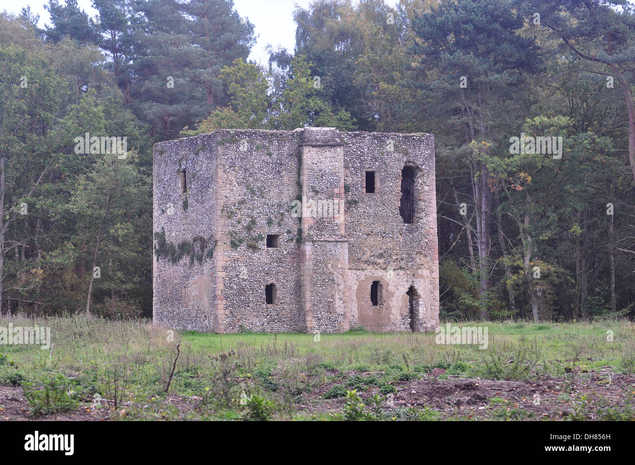 Thetford Warren Lodge Norfolk Stock Photo Alamy