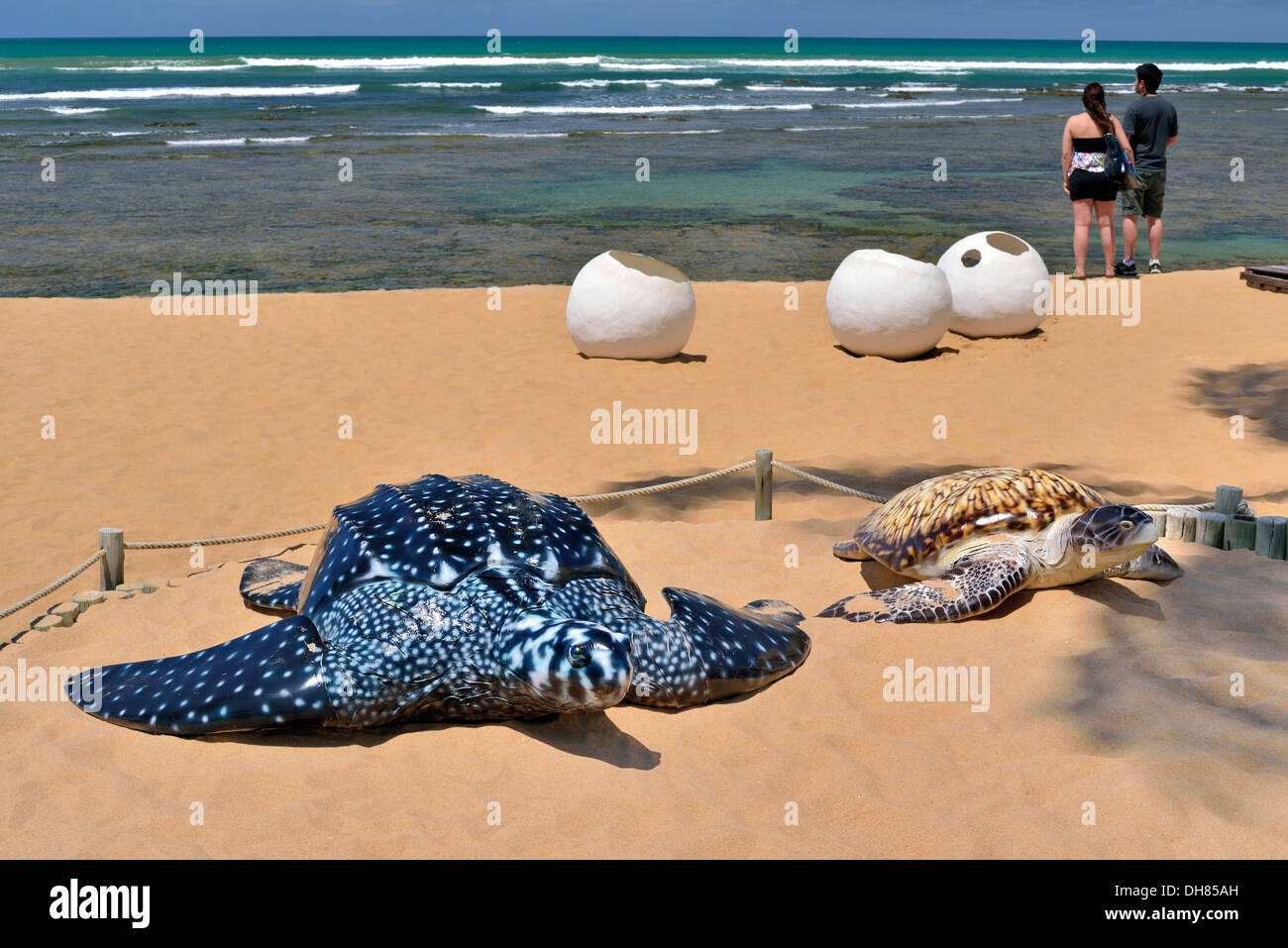 Brazil, Bahia: Model turtles and eggs at the entrance of Environmental project TAMAR in Praia do Forte Stock Photo