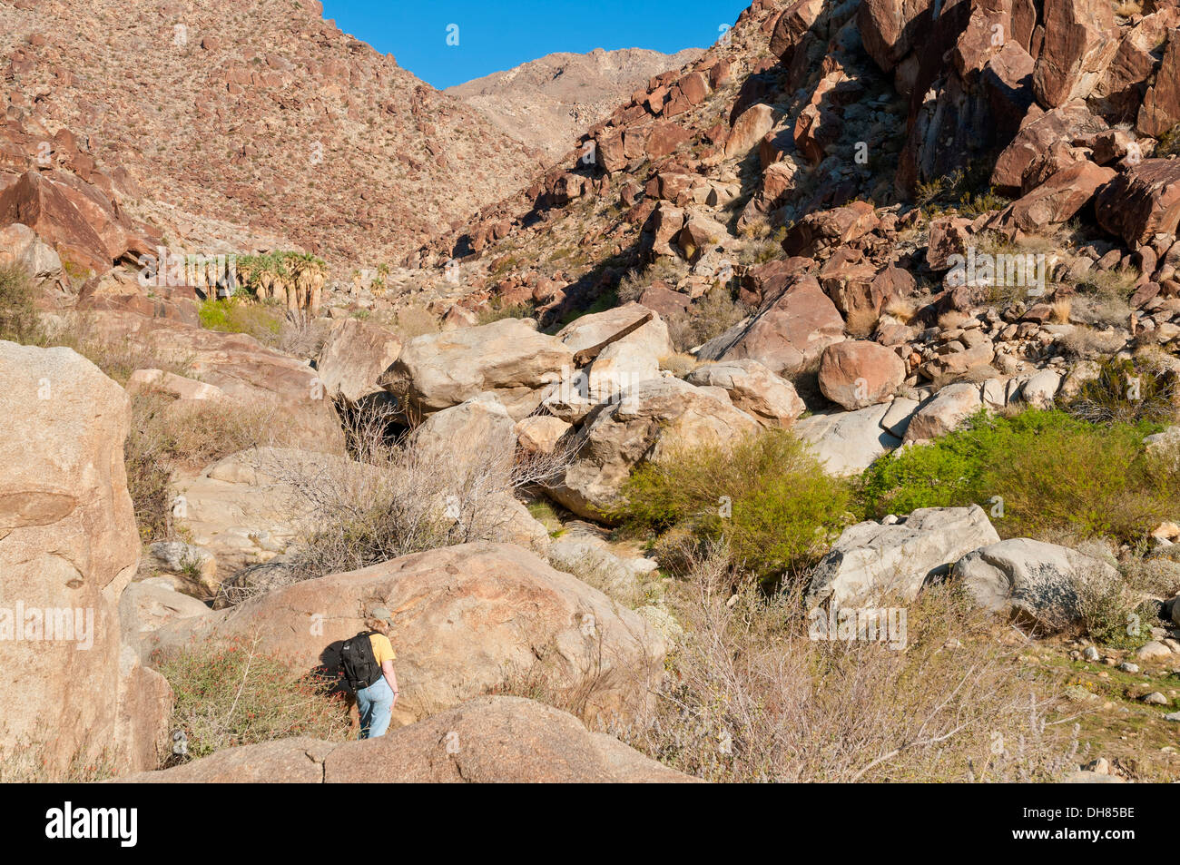 California, San Diego County, AnzaBorrego Desert State Park, Borrego
