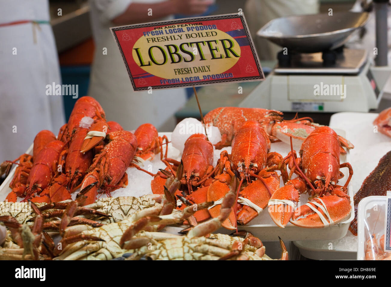 Lobsters, boiled and ready for eating. On sale in Beresford Fish Market