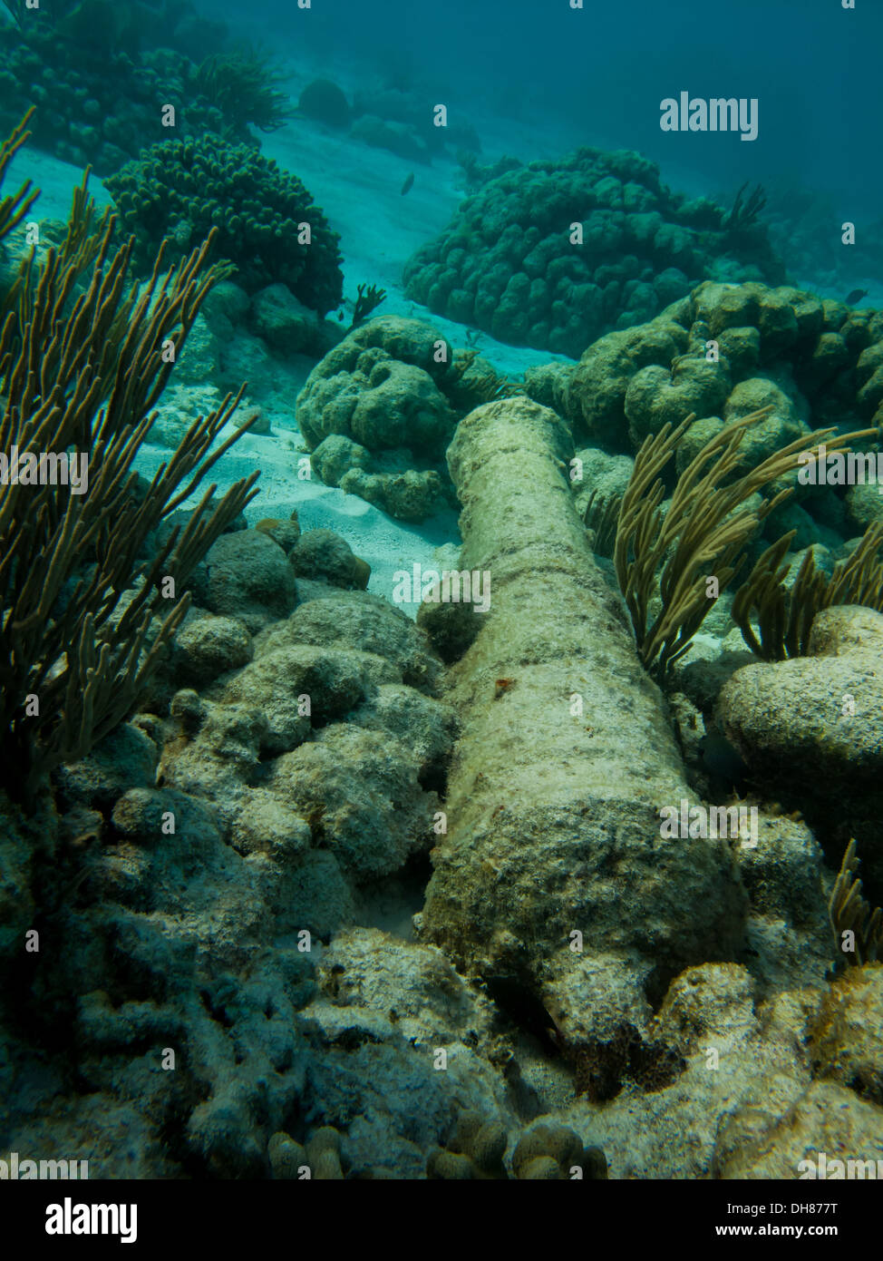 Underwater divers view of old cannon from a ship on the floor of the coral reef in the British Virgin Islands Caribbean sea Stock Photo