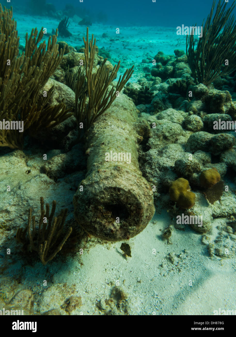 Closeup Underwater divers view of old cannon from a ship laying amid the coral and marine life Stock Photo