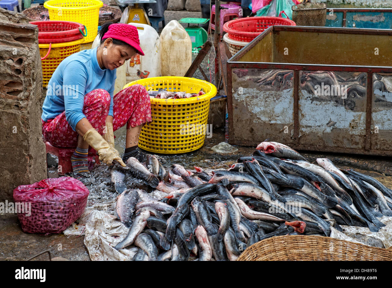 Female fishmonger descaling fish at a market, Siem Reap, Siem Reap, Siem Reap Province, Cambodia Stock Photo