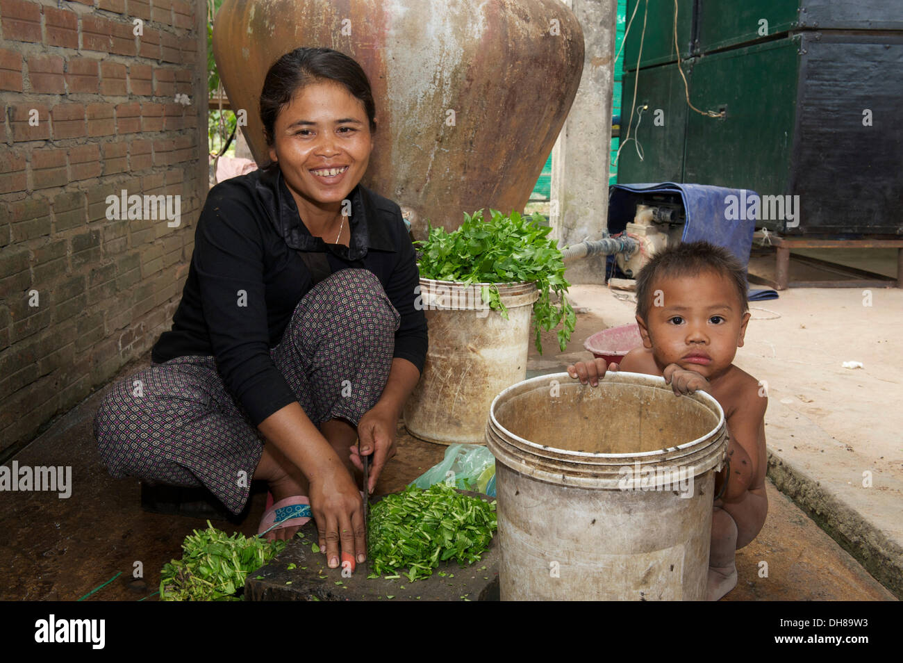 Mother Of Herbs High Resolution Stock Photography and Images - Alamy