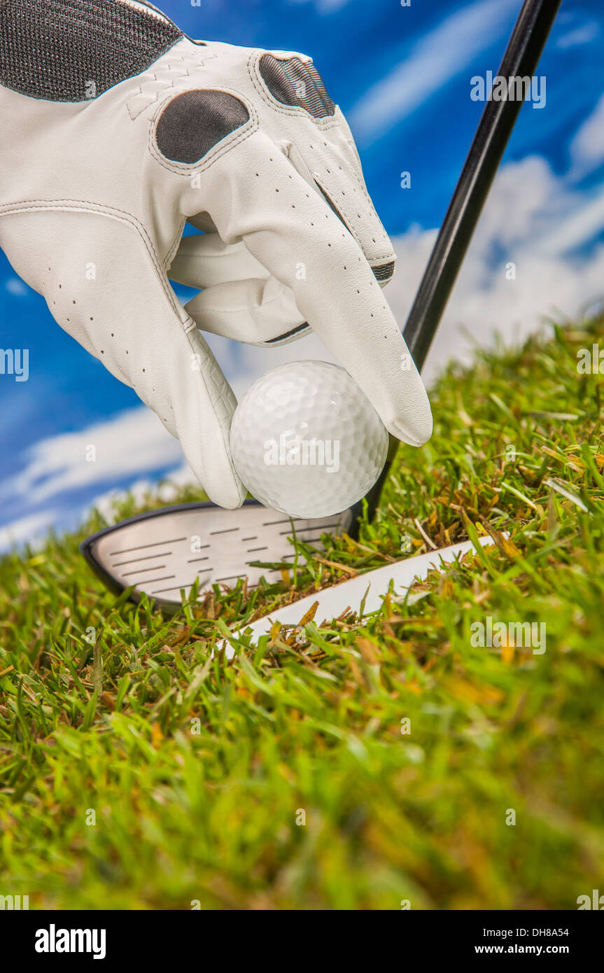 Golf stuff on green grass Stock Photo Alamy