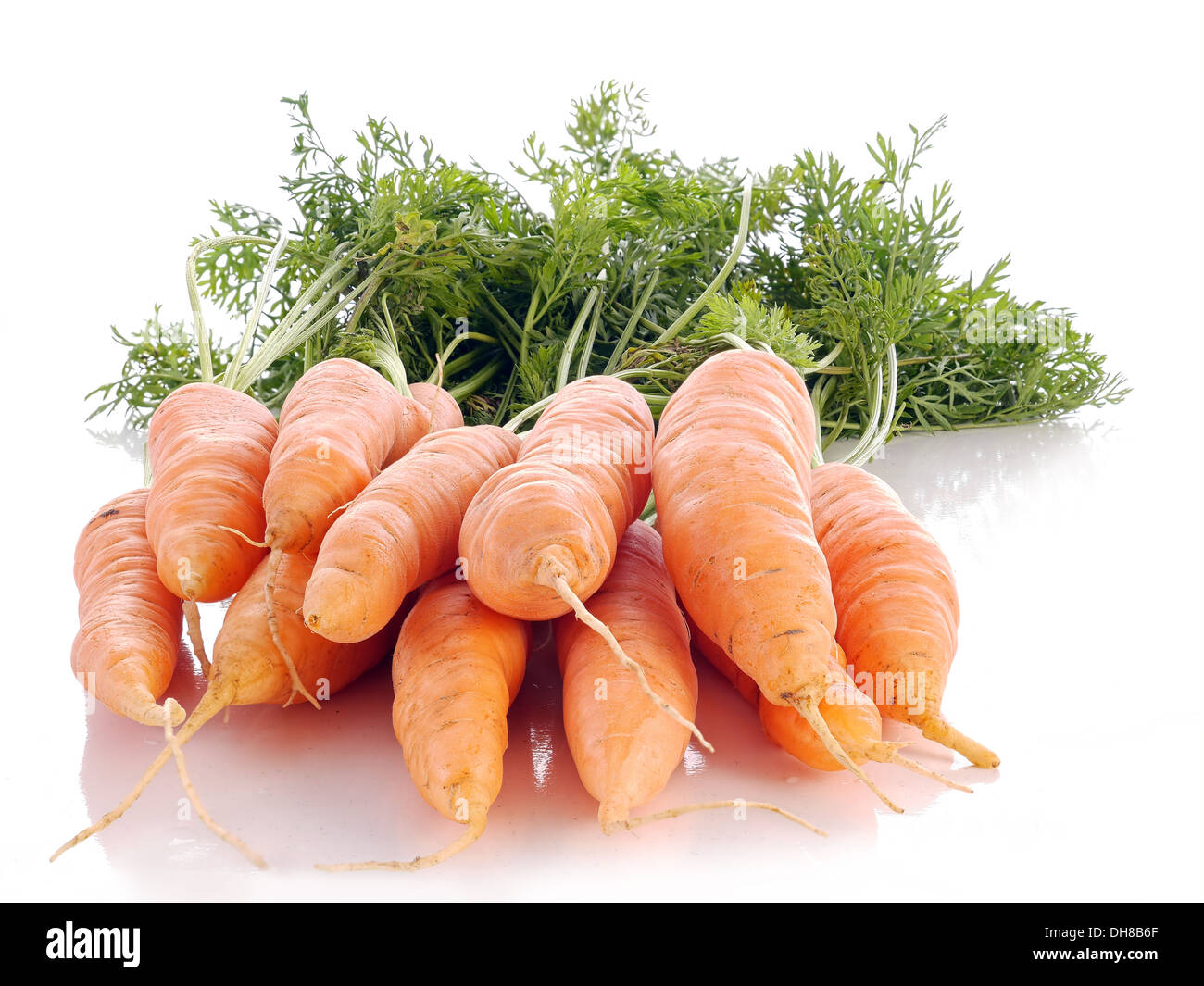Bunch of fresh carrots shot on white Stock Photo