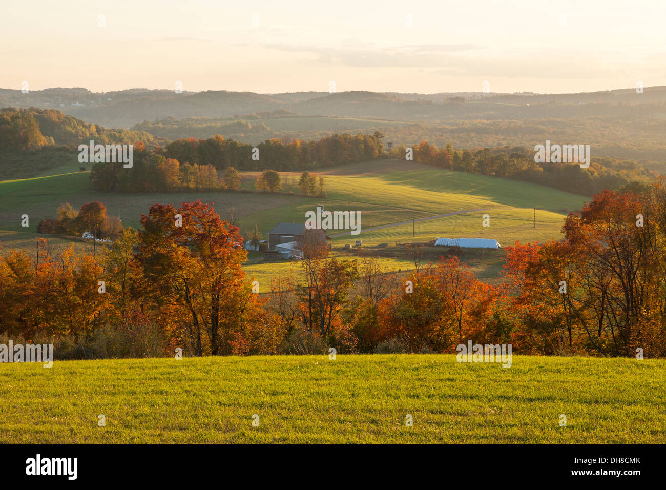 FALL FOLIAGE JEFFERSON COUNTY PENNSYLVANIA USA Stock Photo Alamy