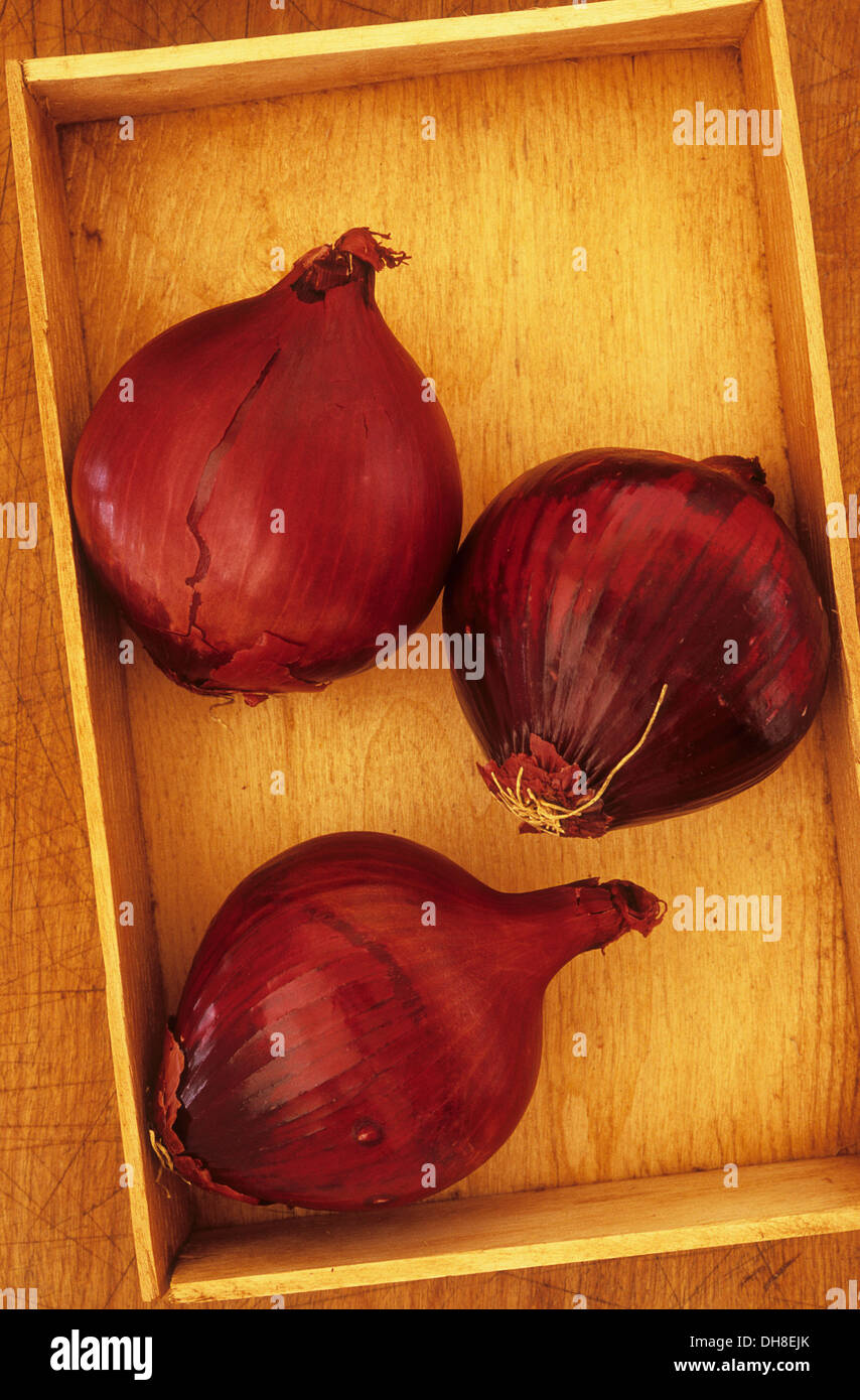 Onion, Allium cepa 'Red Baron'. Studio shot of three red onion lying in wooden tray on wood board. Stock Photo