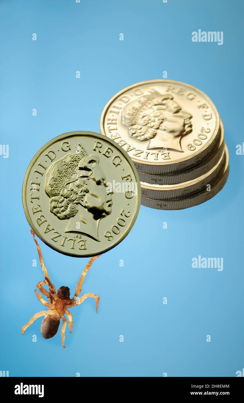 Money spider Stock Photo