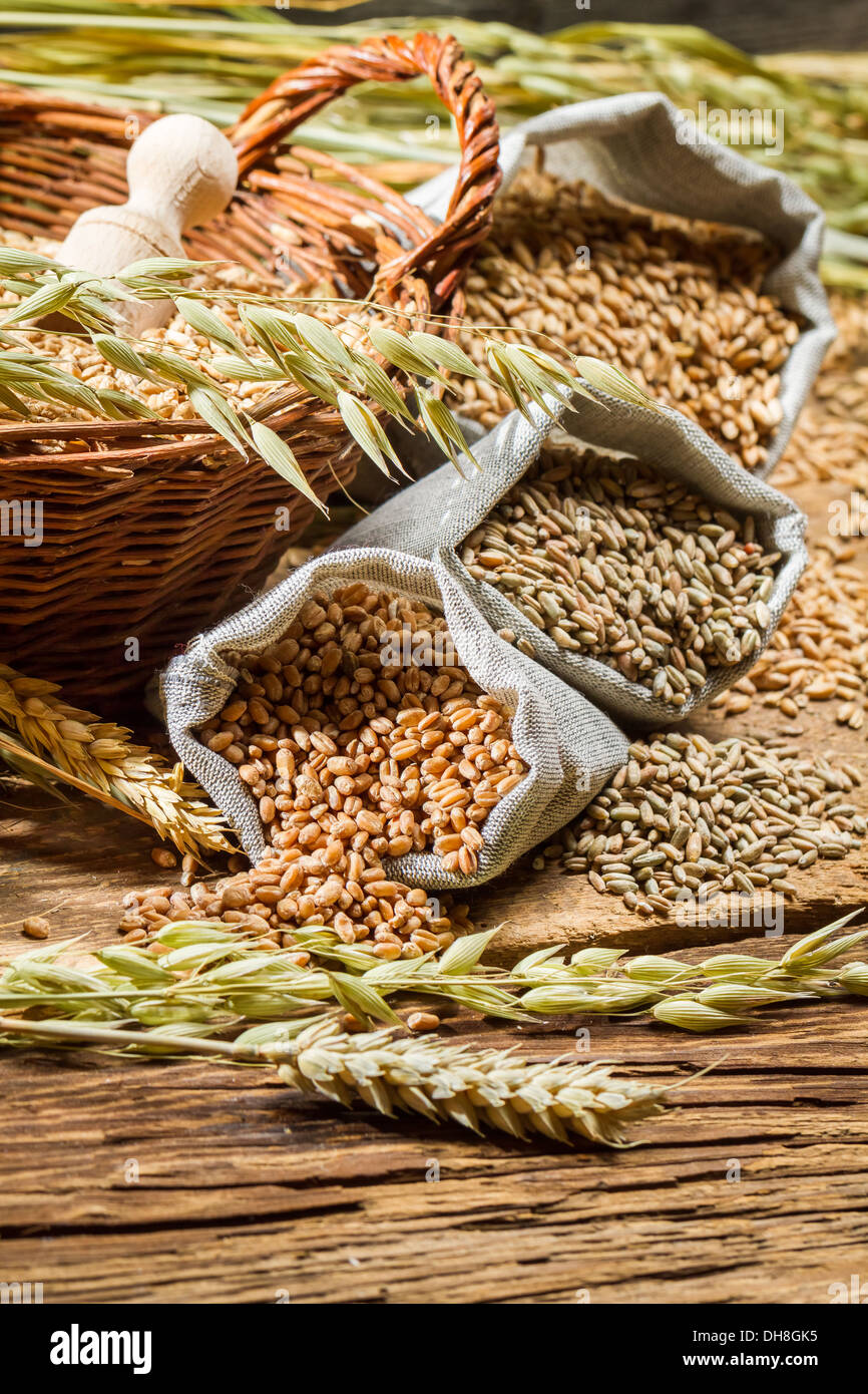 Rye, barley and wheat are the basis for good bread Stock Photo - Alamy