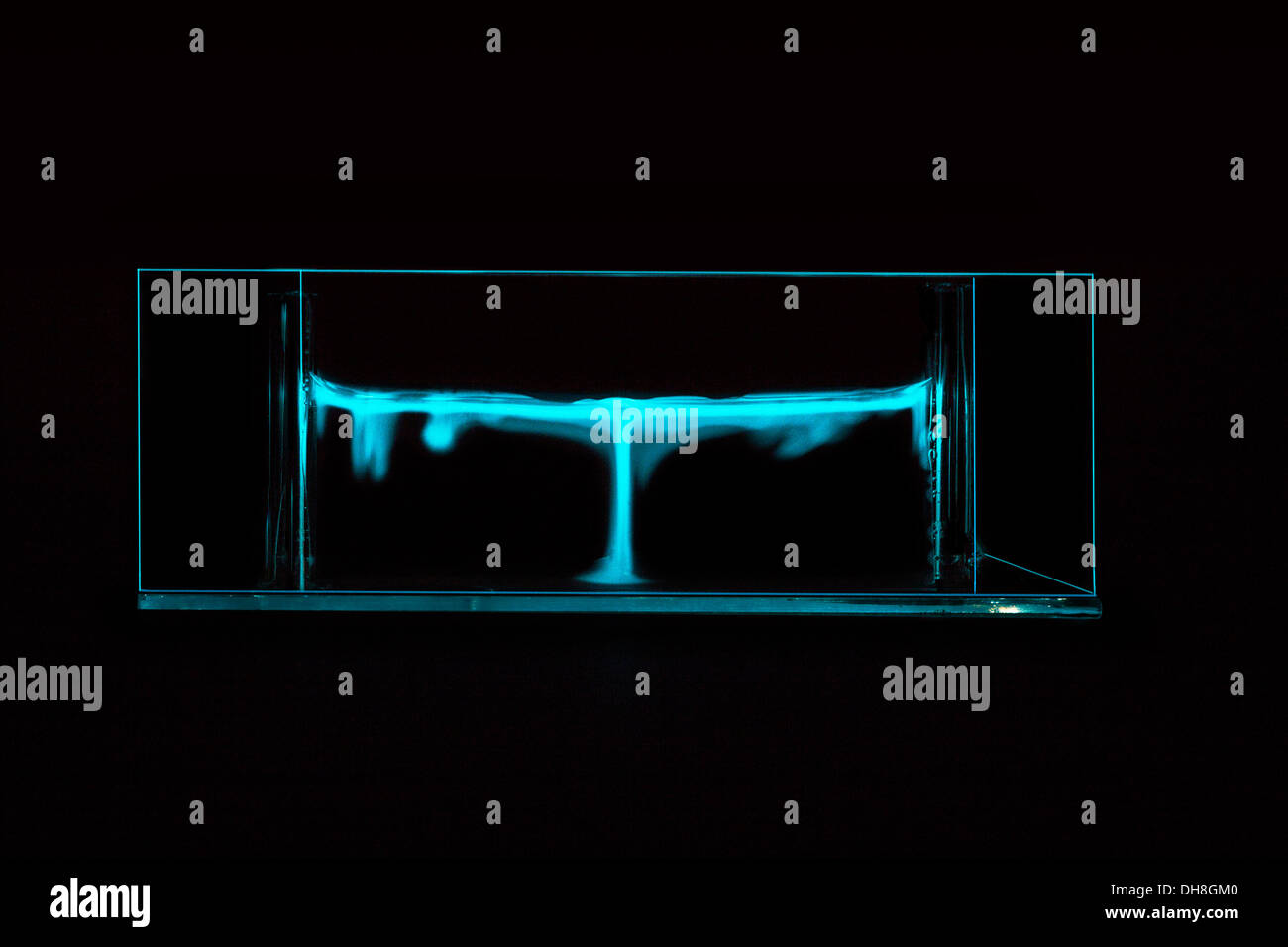 Showing glow of bioluminescence. Convective plumes in a suspension of marine bacteria emitting light when reacting with oxygen. Stock Photo