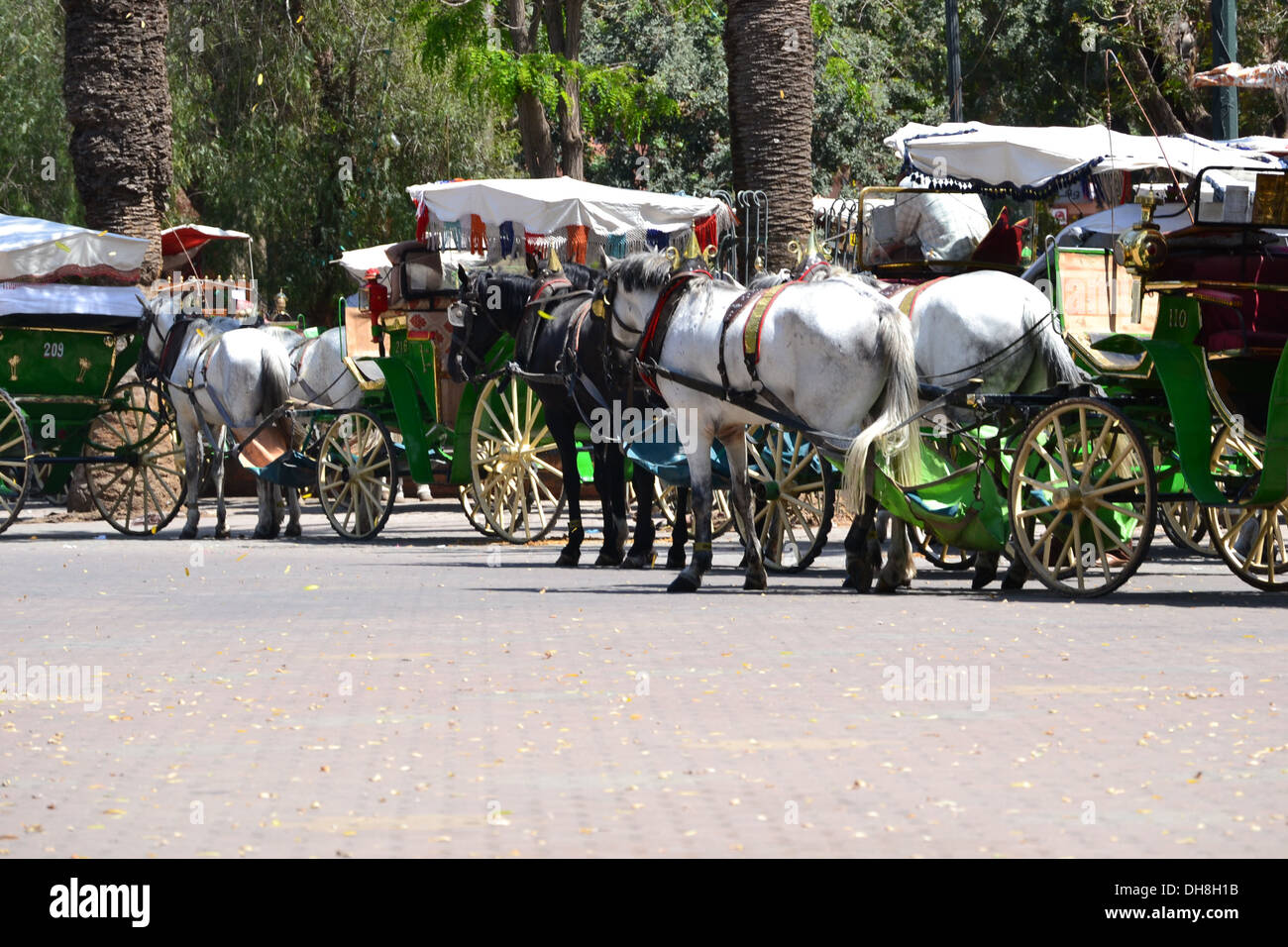 Horse and carts waiting in queue in Marrakech for tourists. Stock Photo