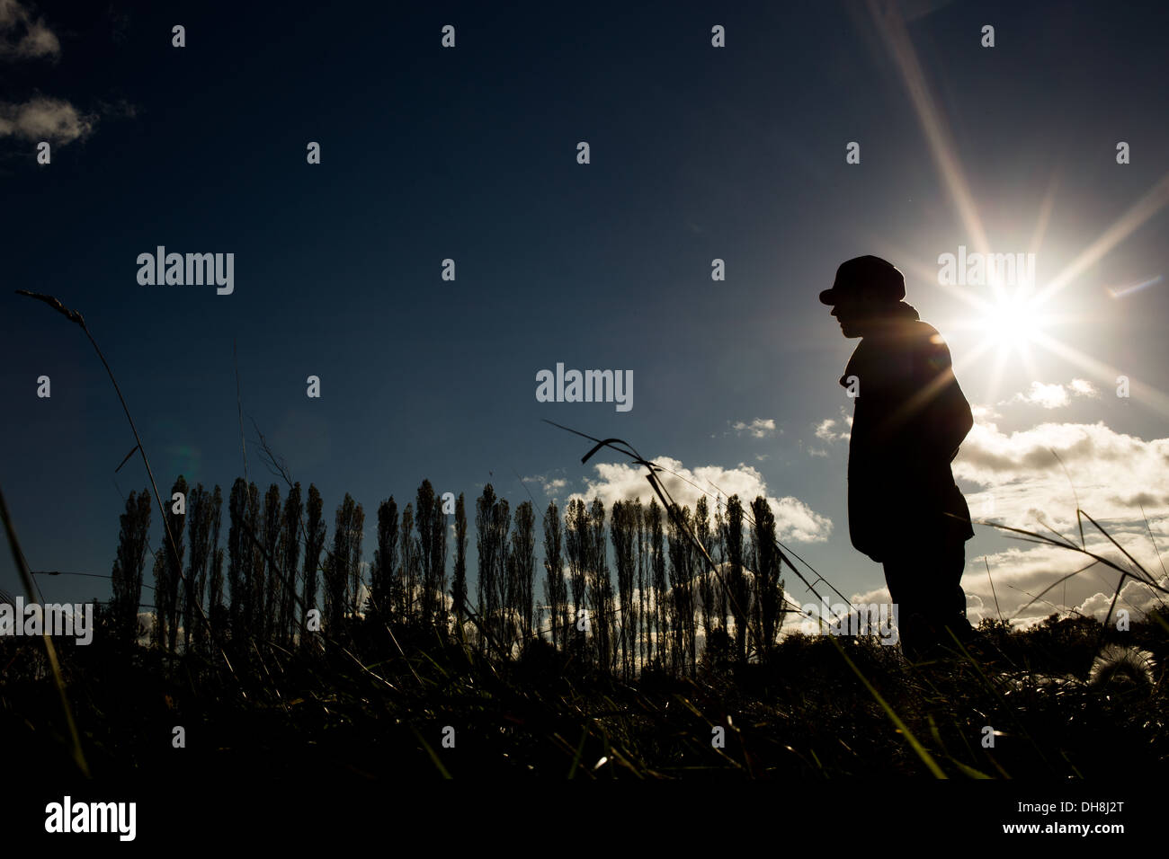 Silhouette of a man walking in Chorlton Ees, Manchester, with the silhouette of Poplar trees in the background Stock Photo