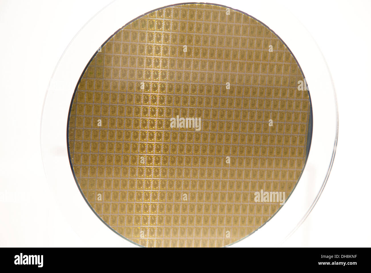 Silicon computer chip wafer Stock Photo