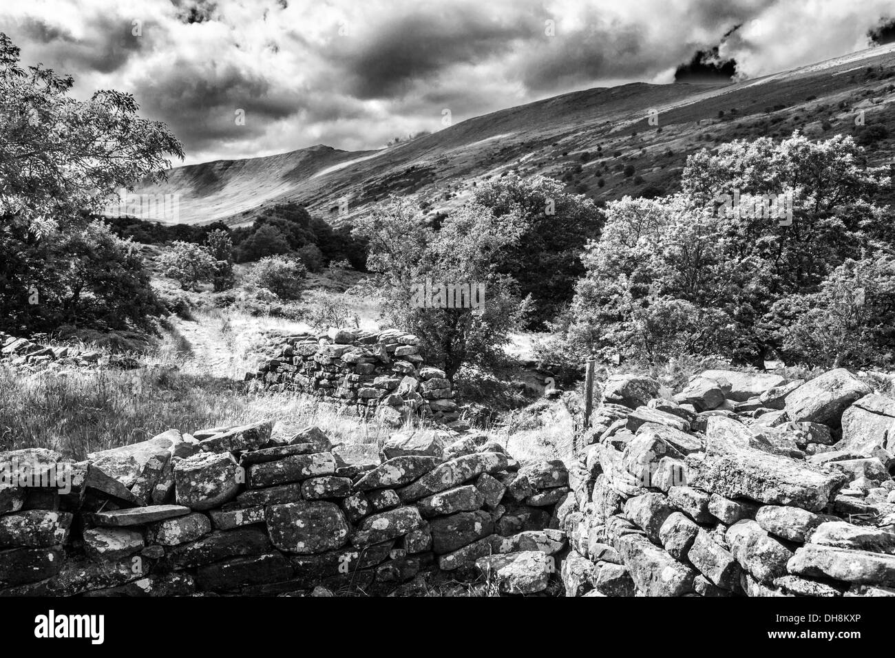 A tumbledown dry stone wall along a public footpath in the Cwm Oergwm in the Brecon Beacons National Park. Colour version DEWWA9 Stock Photo